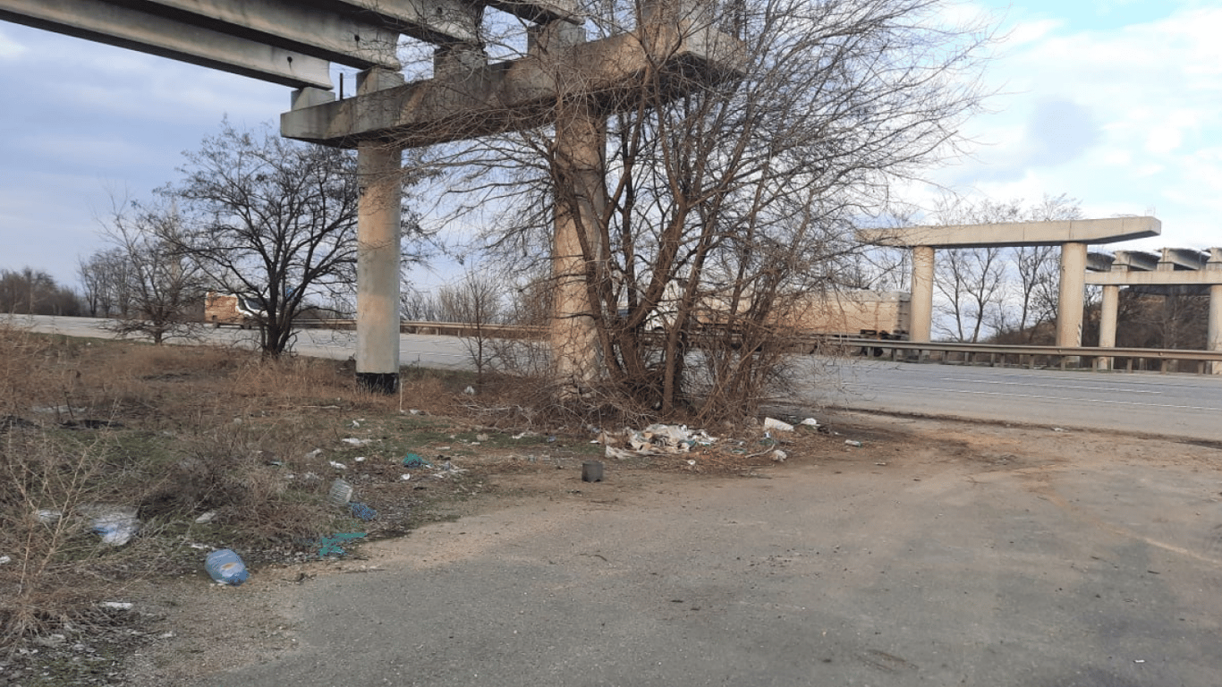 Трасса Одесса-Киев утопает в мусоре - экологи обратились в службу инфраструктуры - фото 1
