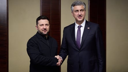 Зеленський обговорив енергетичну співпрацю з прем'єром Хорватії - 304x171