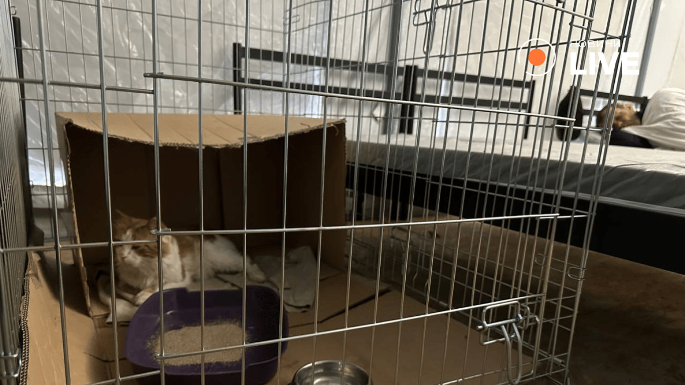 Евакуація у транзитний центр Павлограда