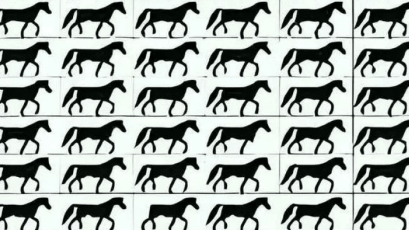 Надважка загадка для тих, хто має гострий зір: знайдіть дивного коня за 5 секунд