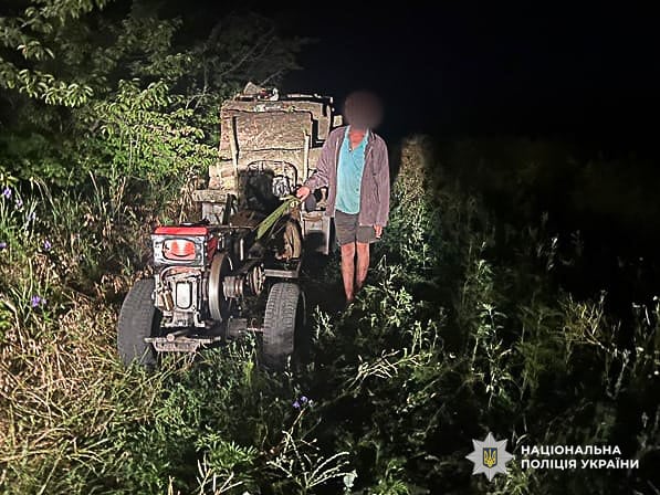 Завдали значних збитків — на Одещині покарали трьох лісорубів - фото 1