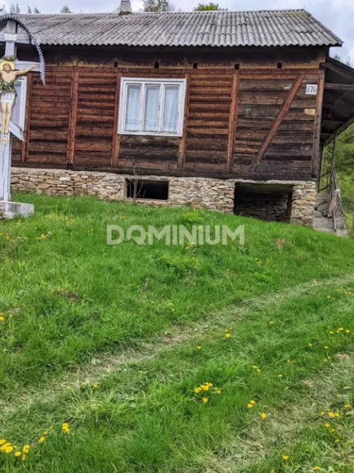 Как выглядит дом в Карпатах, который продают за 15 000 долларов (фото) - фото 25