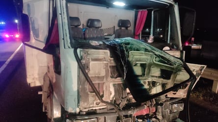 Біля Львова мікроавтобус влетів у вантажівку, п'ятеро поранених - 285x160