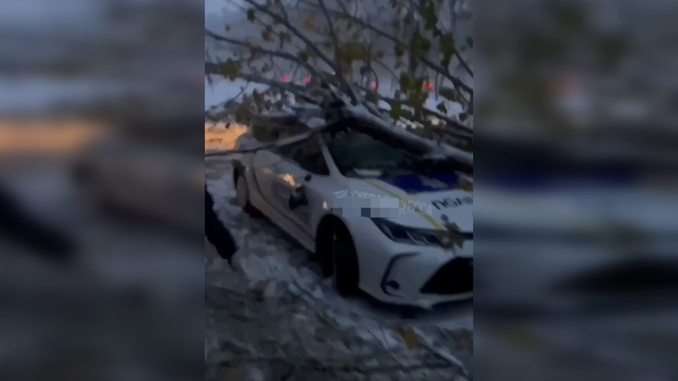 В Одесі дерево впало на патрульне авто