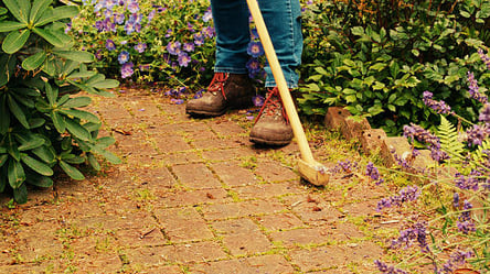 Мох зникне надовго — простий спосіб очистити садові доріжки - 285x160