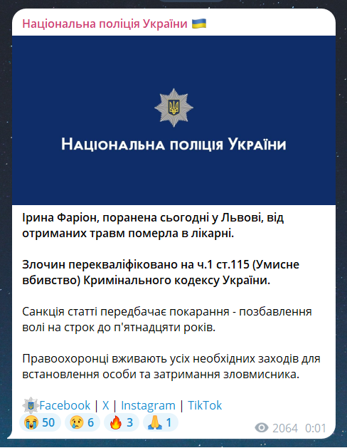 Подробиці справи Ірини Фаріон