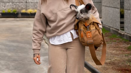 Trousers that raise the bar — the chic alternative to denim - 285x160