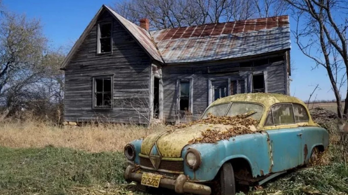 Оптичну ілюзію не розгадали 98% — не кожен побачить лисицю на фото