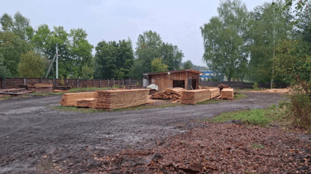 Контрабанда леса — в Одесчине перекрыли канал - 290x166