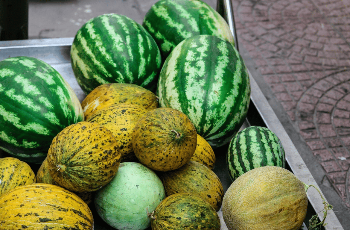 Арбузы с дынями