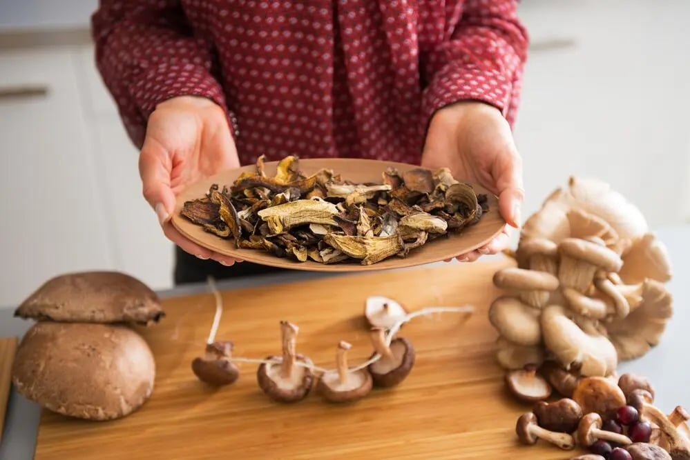 Які гриби можна сушити — список та основні правила