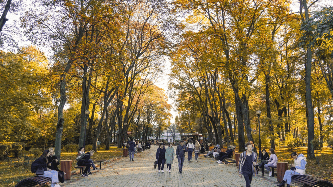Тепла погода очікується на Харківщині: прогноз на завтра