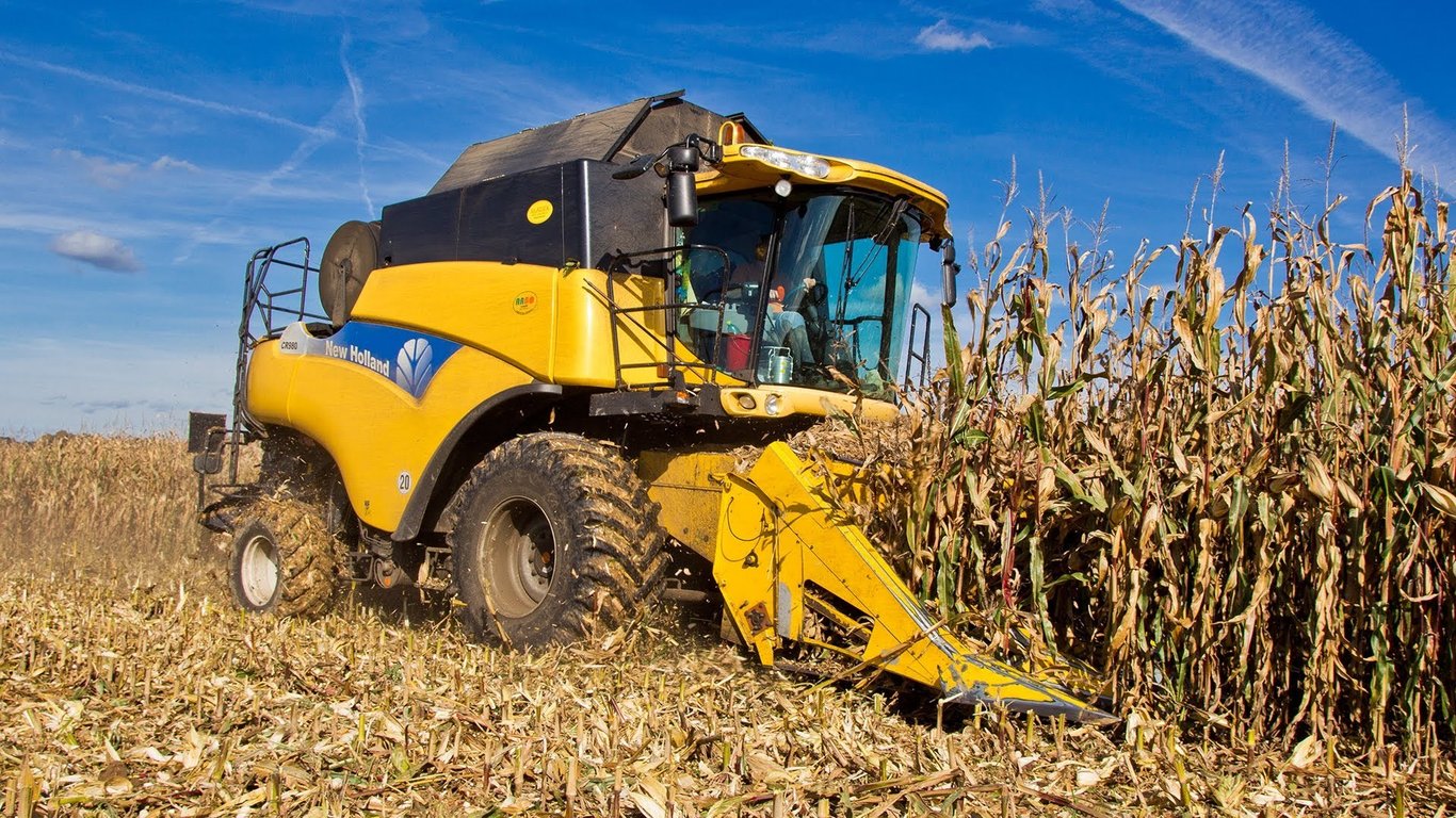 Ціни на зерно в Україні — скільки коштує кукурудза у лютому - 250x140