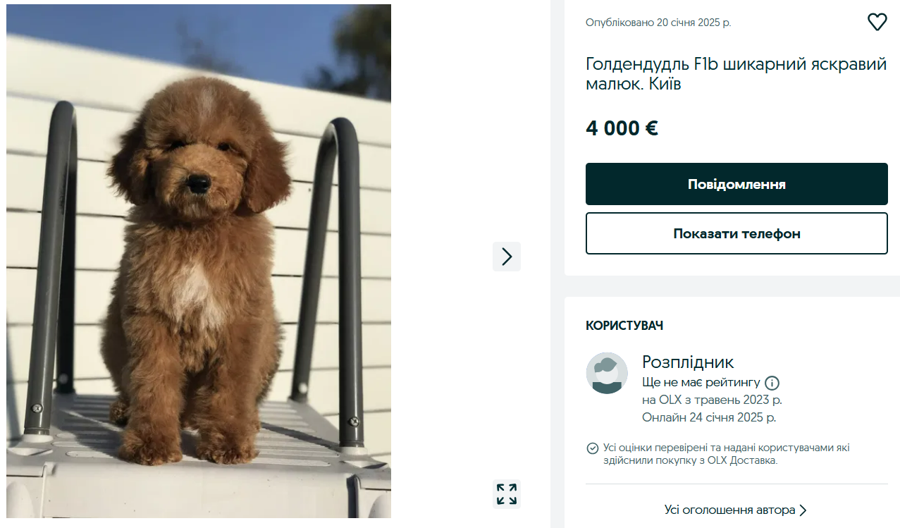 Элита среди собак — сколько стоят редкие породы на OLX - фото 1