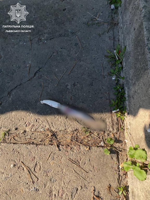 скривавлений ніж