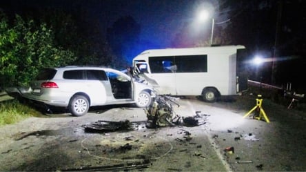 В Житомирской области произошло ДТП с микроавтобусом: много пострадавших - 285x160