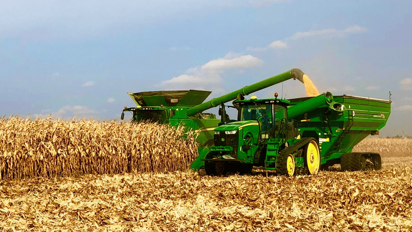 Цены на зерновые в Украине на 30 июня 2024 года — сколько стоит тонна кукурузы