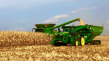 Цены на кукурузу в Украине — сколько стоит тонна зерна в июне - 290x160