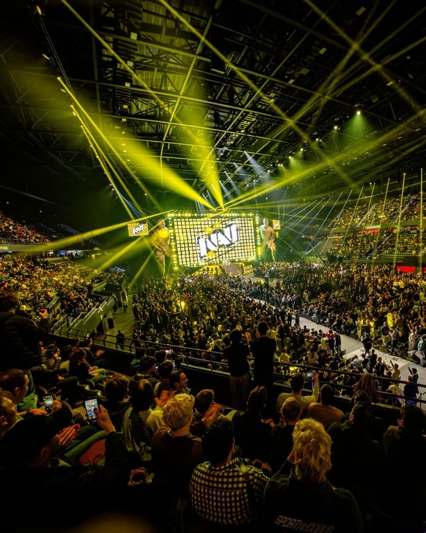 Склад NAVI з CS2