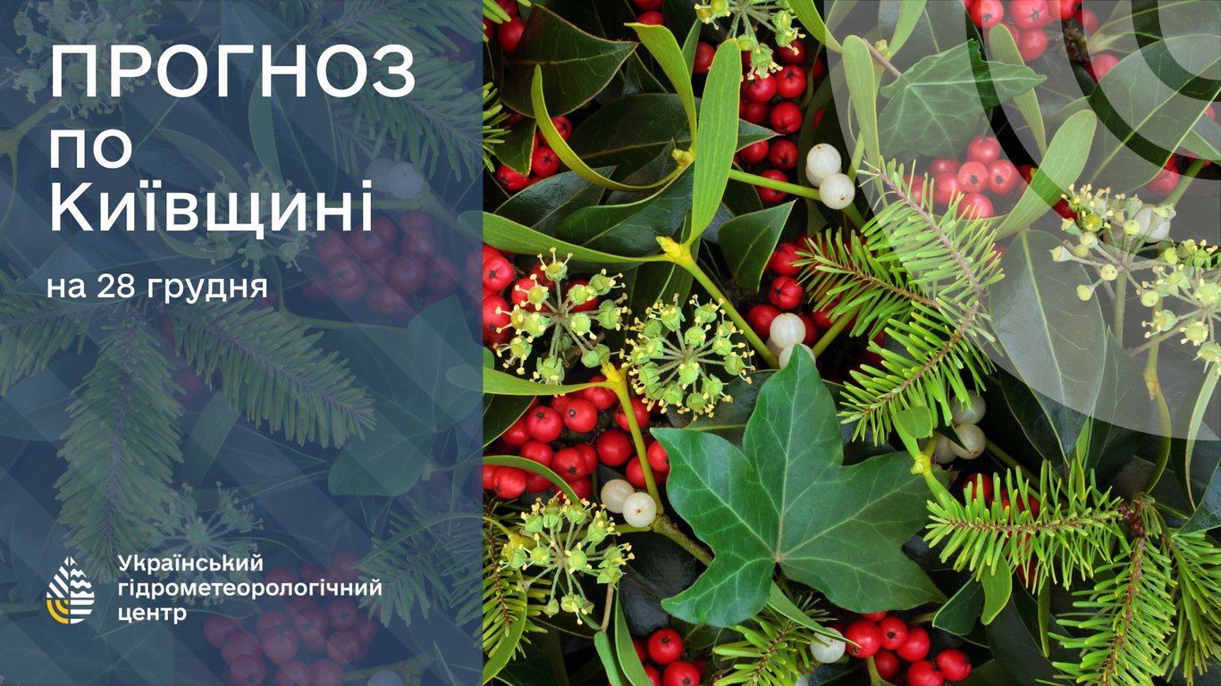 погода в Киевской области