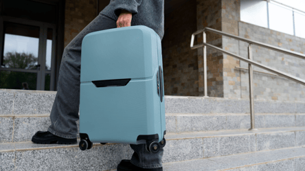 В Ryanair рассказали, чемоданы какого цвета теряются чаще всего - 285x160