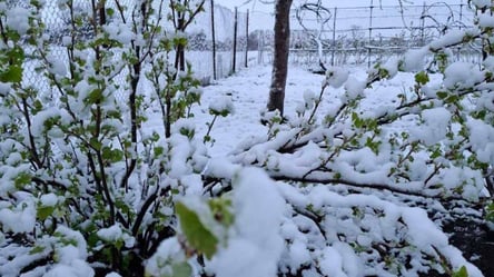 Украину накрыл снег в апреле: жители регионов показали фото сугробов - 328x184