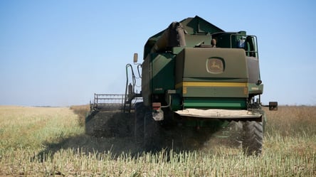 В Украине продолжают расти цены на подсолнечник — сколько стоят зерновые в октябре - 290x166