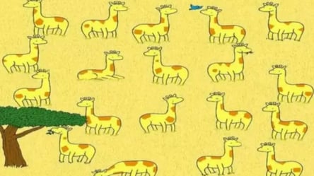 Без пары на сафари — помогите найти одинокого жирафа за 17 секунд - 285x160
