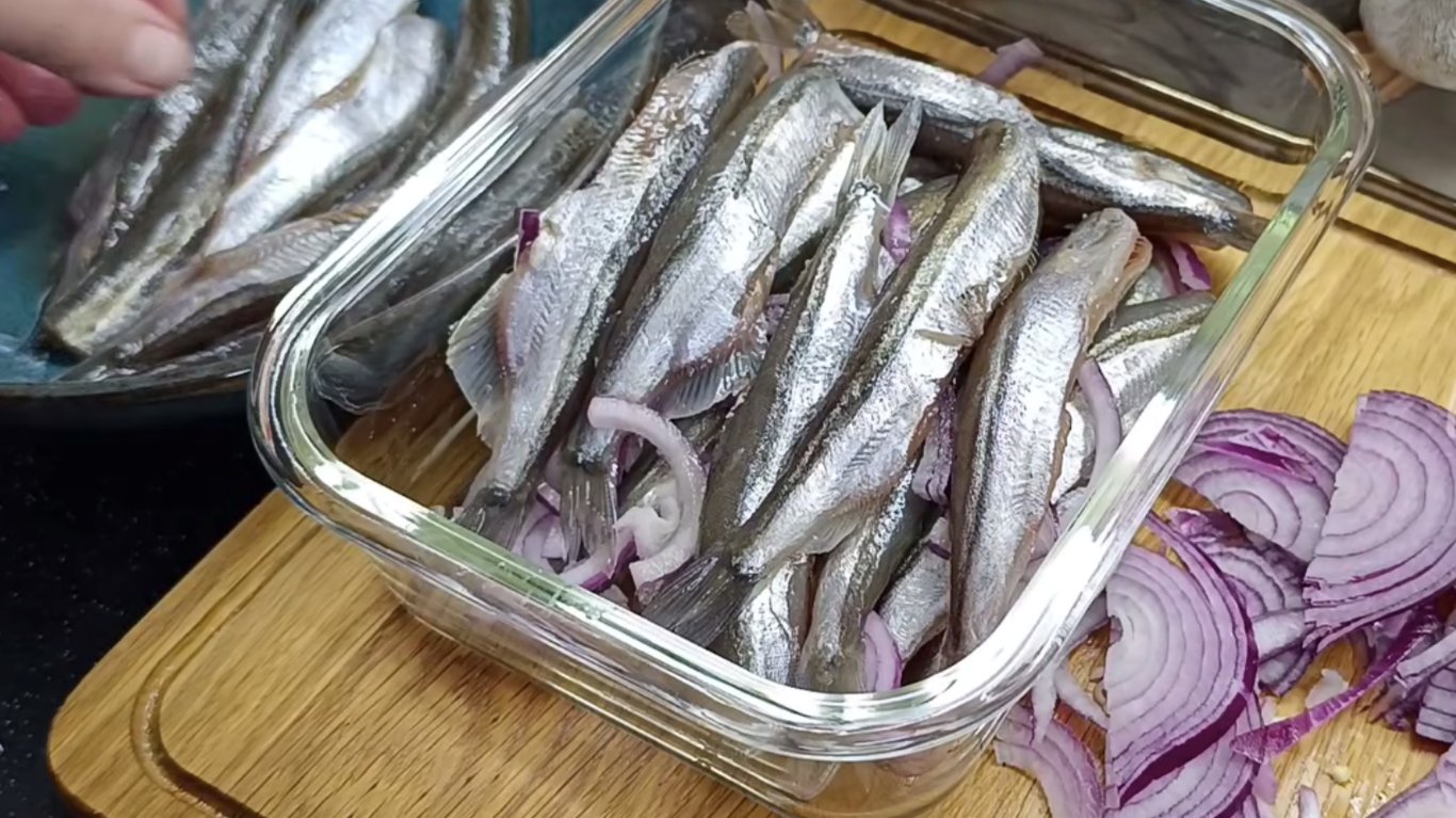 як засолити салаку