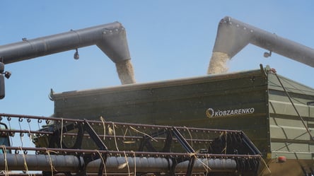 Одещина на першому місці за врожаєм — скільки намолотили - 285x160