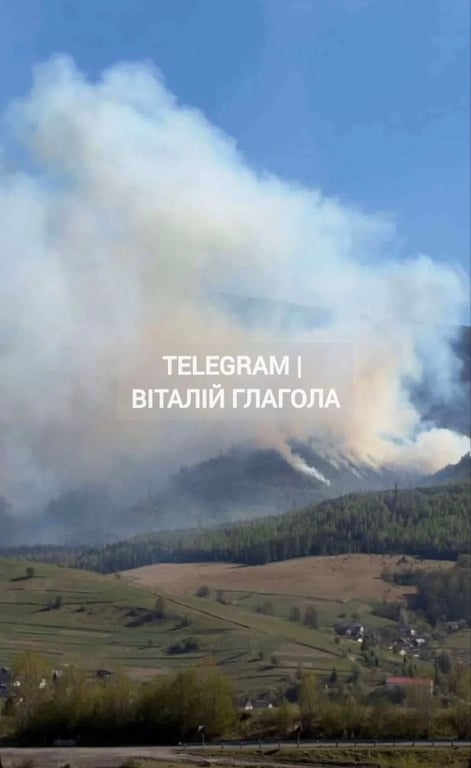 На Закарпатье горит лес