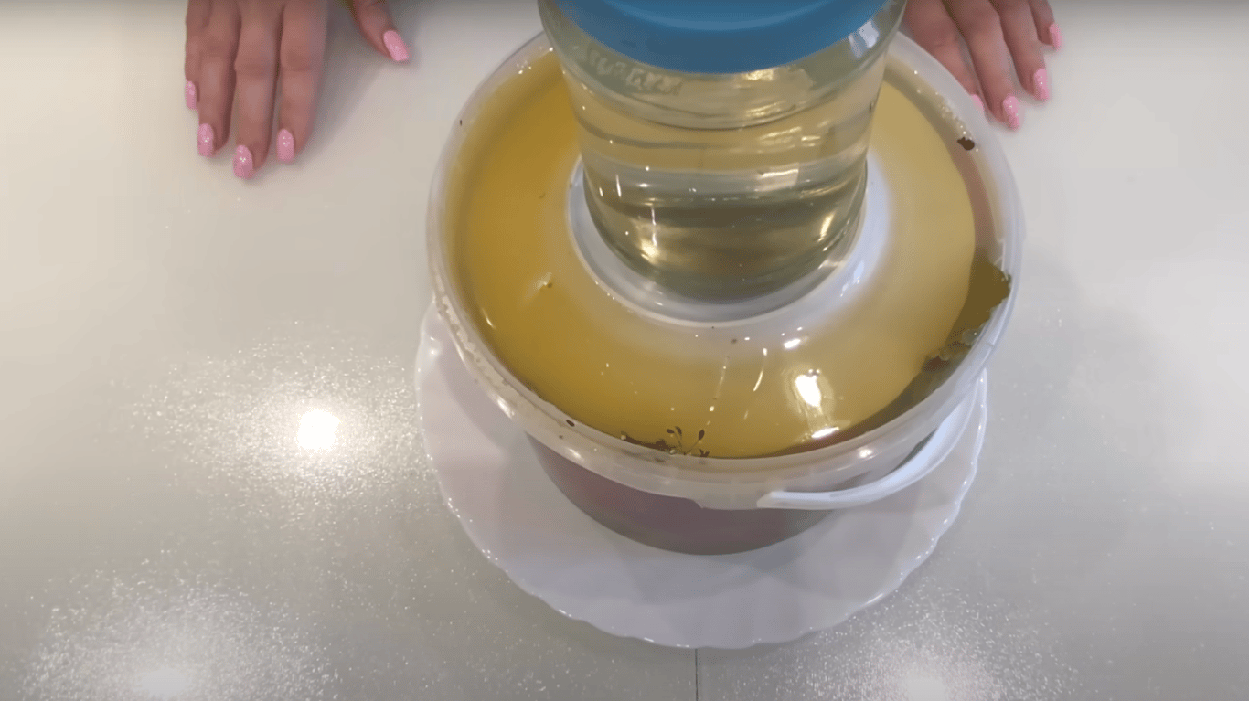 рецепт малосольних помідорів