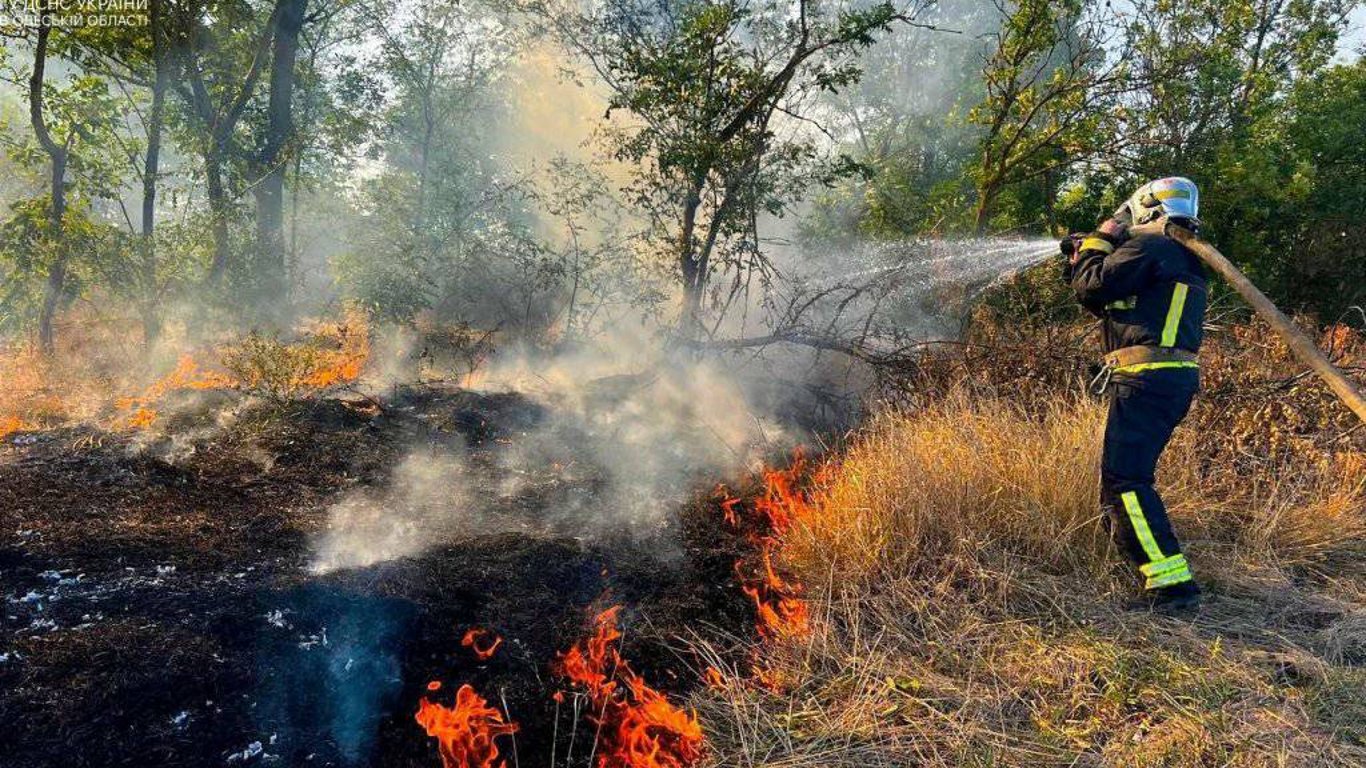 В Одесской области пылают поля: работа пожарных осложнена (видео)
