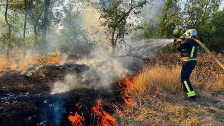 В Одеській області палають поля: робота вогнеборців ускладнена (відео) - 285x160