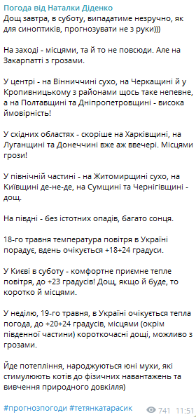 Погода с сюрпризом — народный синоптик Диденко рассказала, где ожидать сильных дождей - фото 1