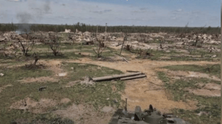 Выжженные деревья, вырвы на земле и руины вместо домов — как выглядят Крынки на Херсонщине - 285x160