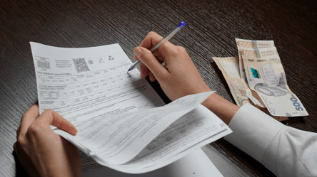 Повлияет ли "Зимняя поддержка" на субсидии — украинцам объяснили - 290x160