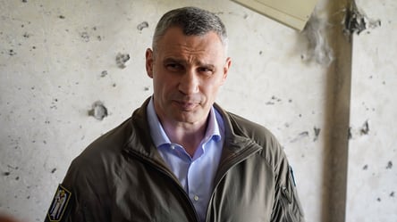 У Кличко годами не занимались ВПЛ — за дело возьмутся волонтеры - 285x160