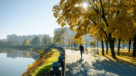 Час "золотої осені" — прогноз погоди в Україні на сьогодні - 285x160