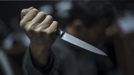 Вдарив ножем у груди: на Львівщині чоловіка звинувачують у вбивстві зятя - 285x160