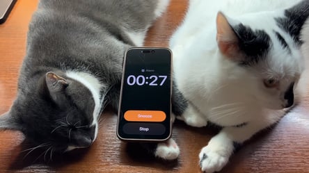 iOS 26.1 changes how you turn off your iPhone alarm - 285x160
