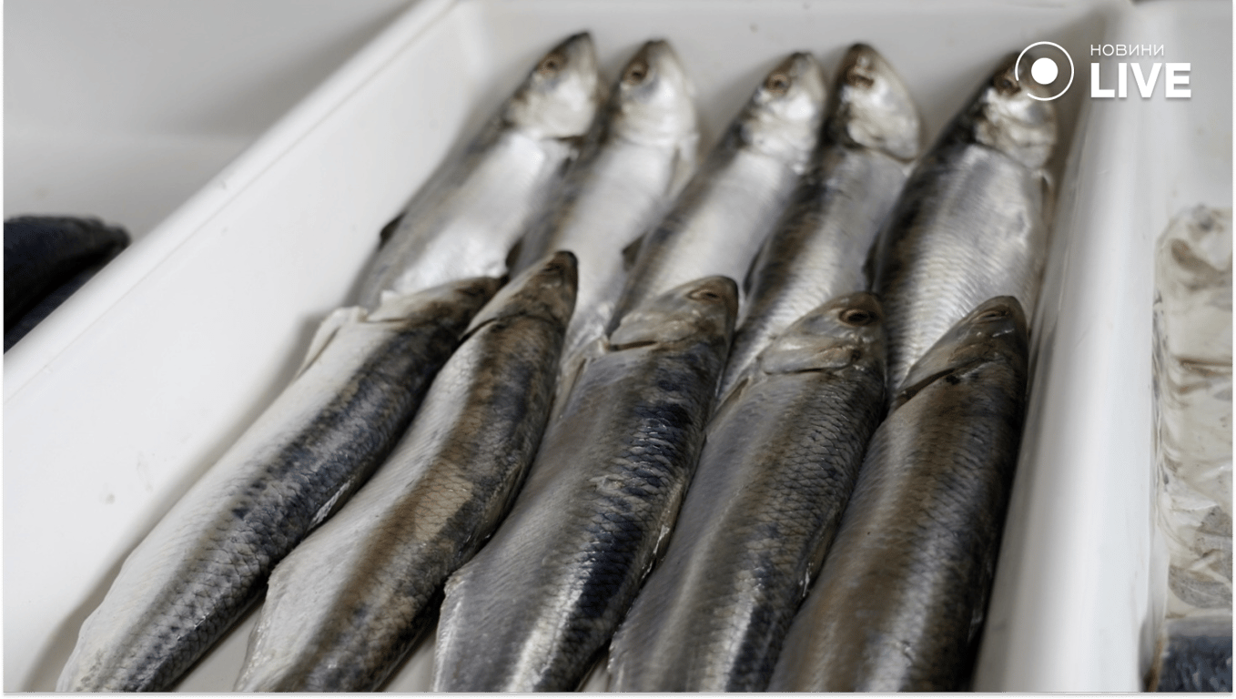 Ціни на Привозі перед Великоднем: скільки коштує паска та продукти - фото 12