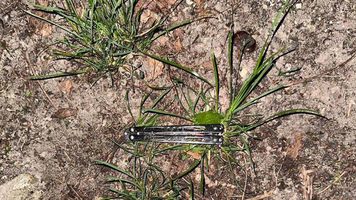 Наніс ножове поранення у під'їзді будинку — у Києві чоловіку загрожує покарання - фото 1