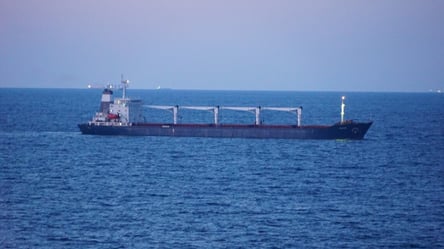 Россия продолжает экспорт Черным морем: сколько судов прошло в сторону Босфора - 285x160