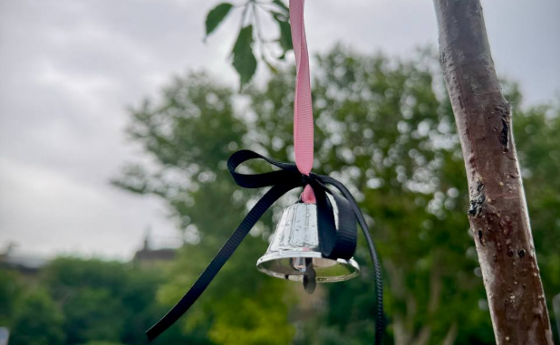 Высадили сакуры в Одессе