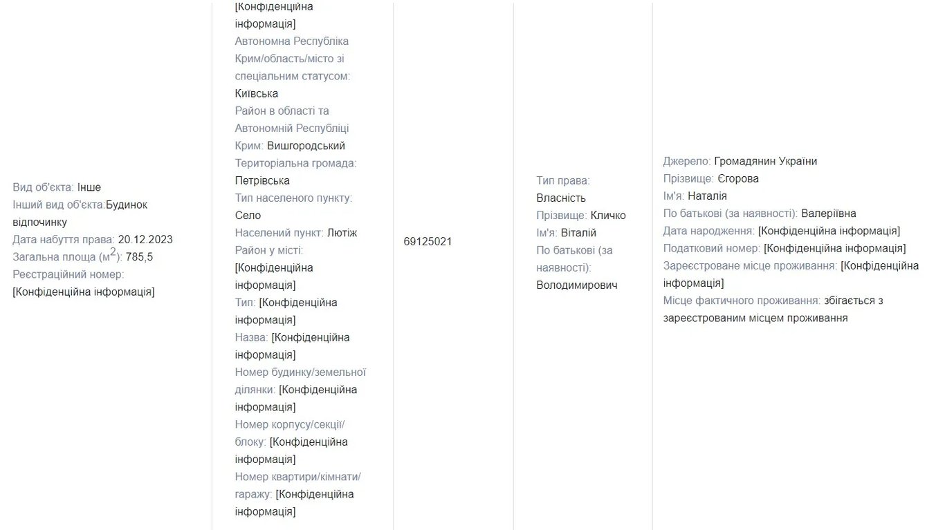 Декларация Виталия Кличко