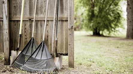 Праздник Пресвятой Богородицы 2025 — можно ли работать на огороде - 285x160