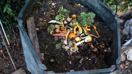 Что сделать с компостной кучей в ноябре — три полезных совета - 285x160