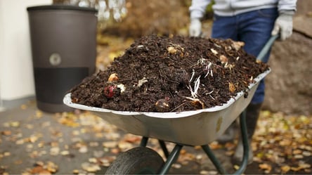 Компост будет в 5 раз питательнее — осенние хитрости огородников - 285x160