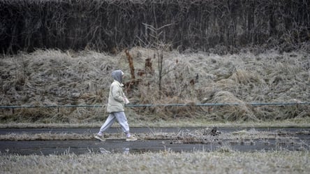 В Укргідрометцентрі попередили українців про вітер та сніг - 290x166